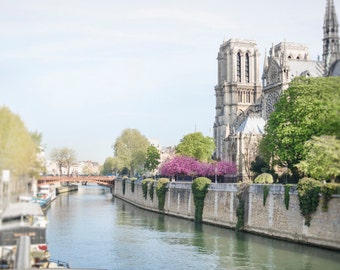 Paris Travel Photography - Spring Along the Seine, Notre Dame, Cherry Blossoms, Travel Photo, Large Wall Art, French Home Decor