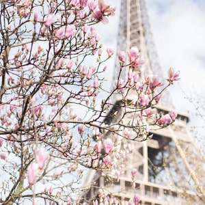 Photographie de Paris - Tour Eiffel et magnolia, photographie de voyage, décoration d&#39;intérieur urbaine française, grande oeuvre d&#39;art murale