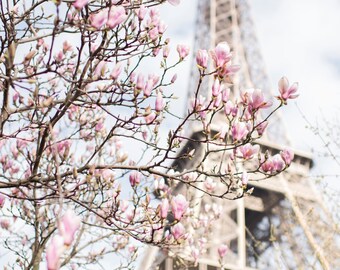 Paris Photograph - Eiffel Tower and Magnolia,Travel Photograph, French Urban Home Decor, Large Wall Art