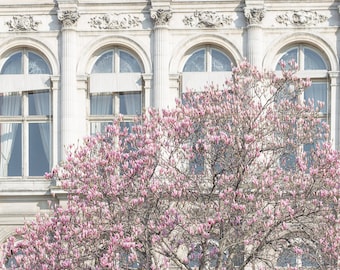 Paris Photograph - Hotel de Ville and Magnolia,Travel Photograph, French Urban Home Decor, Large Wall Art