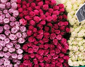 Photographie du marché de Paris - Vente de roses, décoration d'intérieur française, grande oeuvre d'art murale