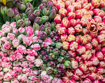 Flower Photography - Paris Tulips at Market, Kitchen Decor,  French Home Decor, Large Wall Art