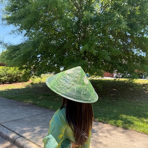 Sombrero cónico de hoja de loto pintado a mano – Artesanía vietnamita Nón Lá