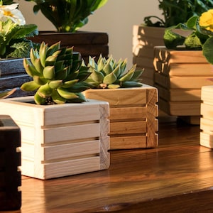 Hölzerne Pflanzgefäße in verschiedenen Größen und Farben, handgefertigt, inklusive Kunststoffpflanzgefäß und Untersetzer zum Auffangen von überschüssigem Wasser.