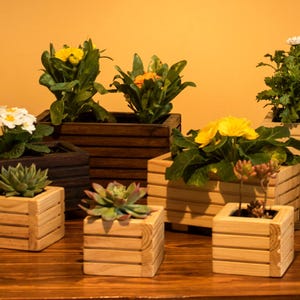 Puede incluir: Una colección de jardineras de madera, algunas teñidas de marrón oscuro y otras naturales, llenas de varias plantas y flores. Las jardineras están dispuestas sobre una superficie de madera contra un fondo de tonos cálidos.