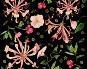 Honeysuckle Pattern