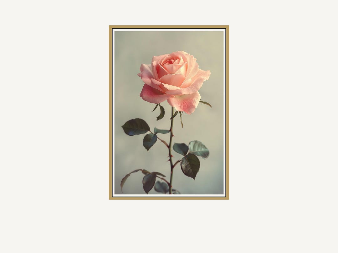 Blush Pink Rose Wall Art Printable – Soft Floral (digital Download ...