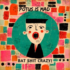 May include: A colorful, abstract illustration with the text "POTUS IS MAD" and "BAT SHIT CRAZY!". The central figure is a cartoonish face with an open mouth, set against a teal circle and a background of multi-colored squares.