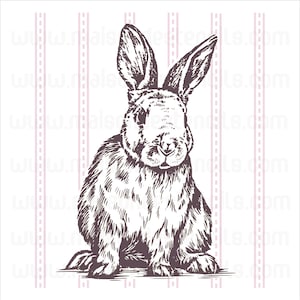 Euro Stencil Design ... Bunny Rabbit Folk Art stencil " 12x12 inch sign painting chalk milk paint Ticking Stripe Easter Folkart Baby