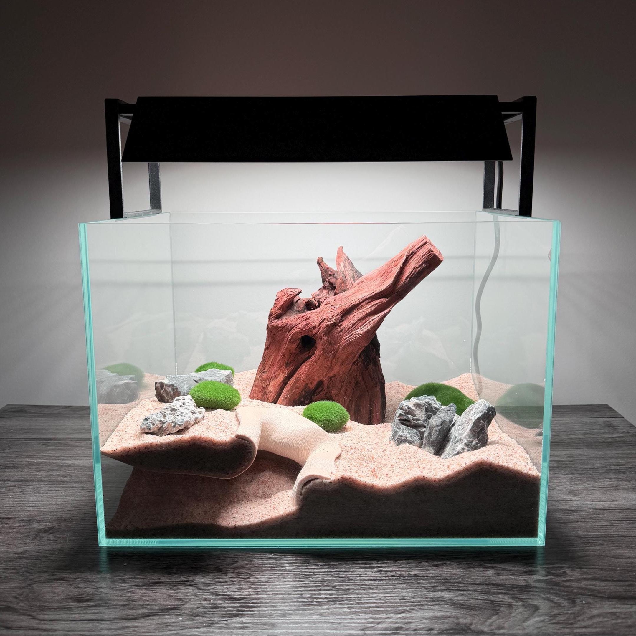 Buy Fish Tank Accessories Online In India - Etsy India