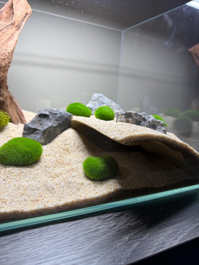 Slopefish Aquarium Cave — the Overhang — Terrain Slope Fish Shrimp Reptile Hide ...