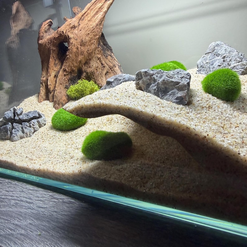 Slopefish Aquarium Cave — the Overhang — Terrain Slope Fish Shrimp Reptile Hide ...