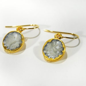 Enamel Coin Earrings Gold Charm Jewelry