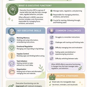 May include: An infographic titled "Executive Function Cheat Sheet" with key brain-based skills and common challenges. The chart includes sections on executive function, key skills, common challenges, and helpful strategies, with icons and bullet points.