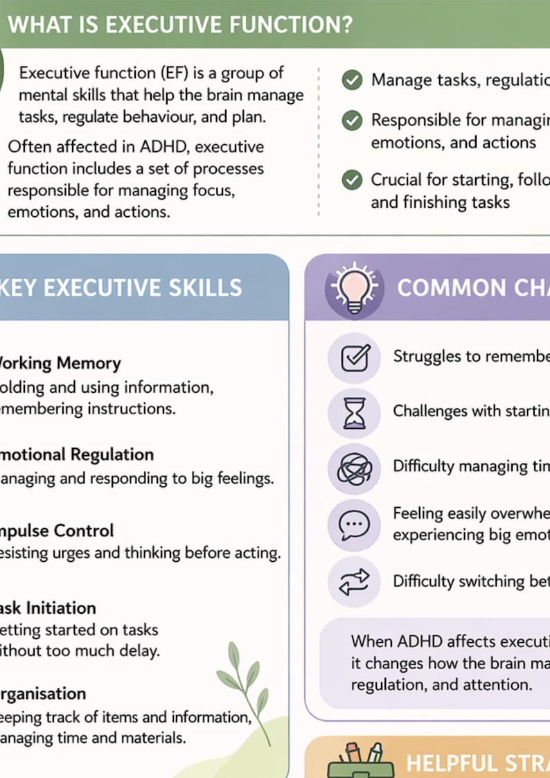 May include: An infographic with the title "WHAT IS EXECUTIVE FUNCTION?" lists key executive skills and common challenges. The graphic includes text and icons, such as a lightbulb, checkmarks, and an hourglass.