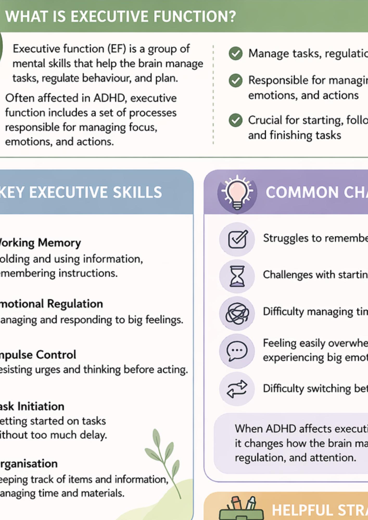 Executive Function Cheat Sheet ADHD | Printable Student Support | Focus ...