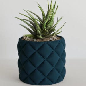 Könnte beinhalten: Ein tealfarbener, gesteppter Stoff-Pflanztopf mit einer Sukkulentenpflanze. Der Topf hat ein Rautenmuster und ist mit Erde und kleinen Steinen gefüllt. Die Pflanze hat grün-weiß gestreifte Blätter.