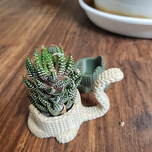 Puede incluir: Una pequeña planta suculenta en una maceta de color crema, de estilo tejido, con forma de serpiente. La planta tiene hojas verdes con puntos blancos. Detrás de la maceta de la serpiente hay una segunda maceta verde más pequeña. El fondo es una superficie de madera.