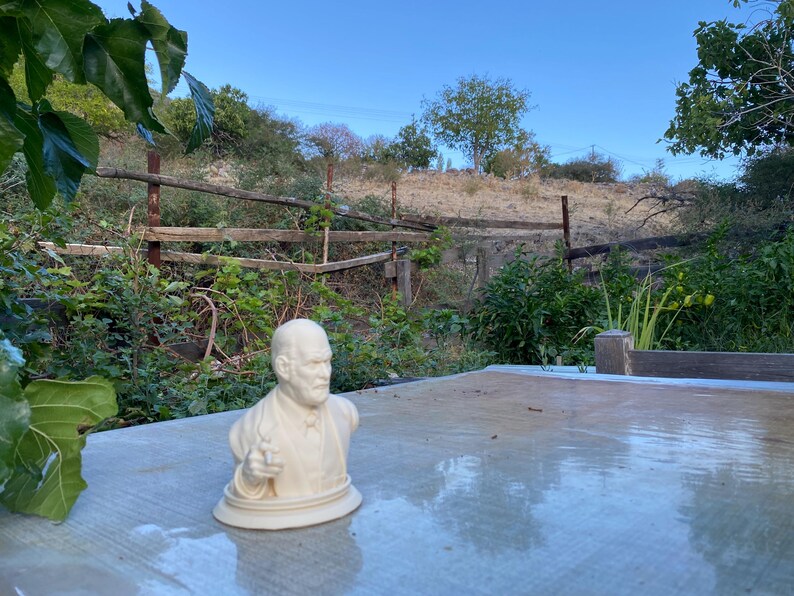 Sigmund Freud Bust Statue - Psychology Desk Decor - 3D Printed Intellectual Ornament - Psychoanalysis Gift - Therapist Office image 6