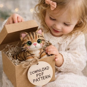 Pode incluir: Um brinquedo de gato malhado de crochê com grandes olhos verdes e detalhes rosa, apresentado numa caixa de cartão castanha. A caixa tem uma etiqueta que diz "DOWNLOAD PDF PATTERN". O gato é castanho e bege com riscas pretas.