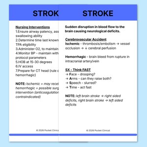 May include: A medical reference sheet with the words "STROK" and "STROKE" in blue boxes. The sheet contains information on nursing interventions, cerebrovascular accidents, and the FAST acronym for stroke recognition. The text is in black font.