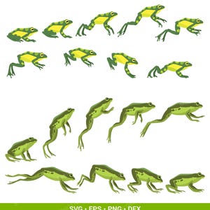 Op de afbeelding: Een verzameling digitale illustraties met groene en gele kikkers in verschillende spring- en zithoudingen. De kikkers zijn afgebeeld met gevlekte patronen, lange ledematen en verschillende houdingen, gerangschikt in rijen.