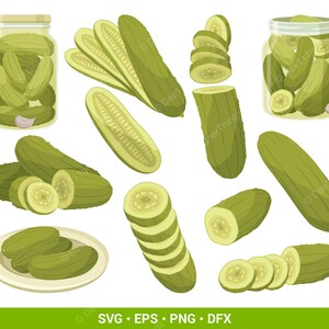 Peut inclure: Une collection d'illustrations de concombres verts comprenant des concombres entiers, des rondelles, des morceaux coupés en deux et deux bocaux en verre remplis de cornichons. L'ensemble présente diverses textures et nuances de vert.