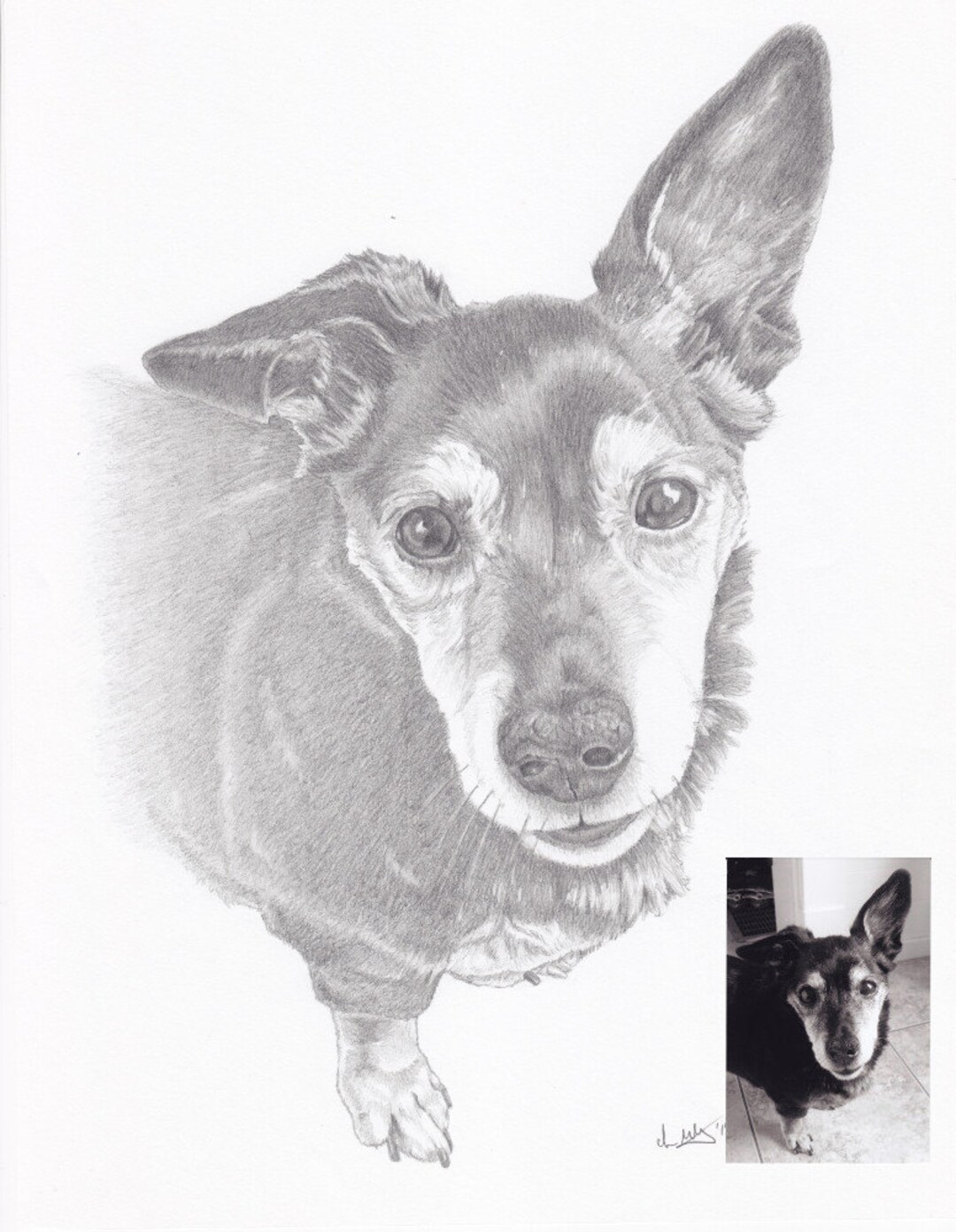 Custom 8x10 Hand Drawn Graphite Pencil Pet Portrait - Etsy