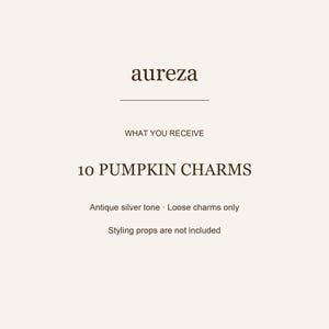 May include: A product information card with dark brown text on a light background. The text reads: aureza, WHAT YOU RECEIVE, 10 PUMPKIN CHARMS, Antique silver tone &middot; Loose charms only, Styling props are not included. The card features a horizontal line.