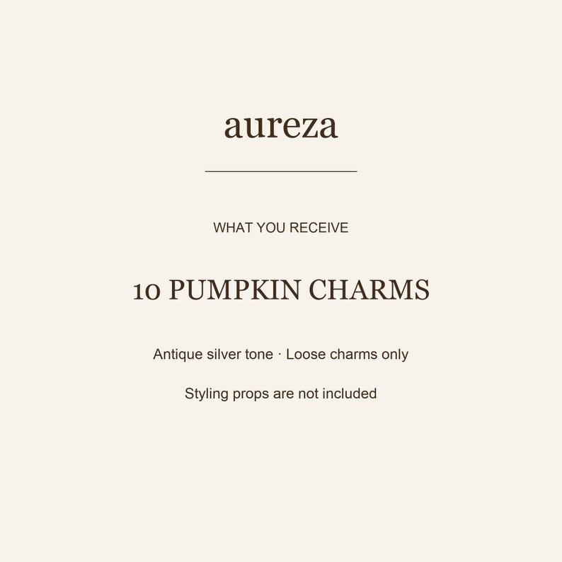 May include: A product information card with dark brown text on a light background. The text reads: aureza, WHAT YOU RECEIVE, 10 PUMPKIN CHARMS, Antique silver tone &middot; Loose charms only, Styling props are not included. The card features a horizontal line.