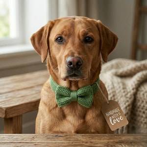 Op de afbeelding: Een bruine Labrador Retriever met een groene gehaakte vlinderdas en kraag. Een klein label met de tekst "Handmade with Love" hangt aan de kraag. De hond zit aan een houten tafel.