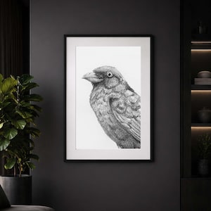 Puede incluir: Lámina artística en blanco y negro enmarcada que representa un cuervo. El dibujo detallado resalta el plumaje texturizado y el pico del ave. La obra está enmarcada en un marco negro, ideal para la decoración del hogar.