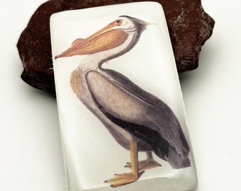 StudioStJames 1.25x2 Inch Clay Resin Cabochon-Pelican-Brown White-PA 105807