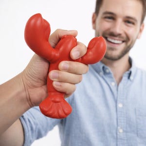 May include: A bright red lobster-shaped toy held in a person's hand. The toy has a detailed design, including claws, a body, and a tail. The background is a plain white, with a person wearing a blue shirt.