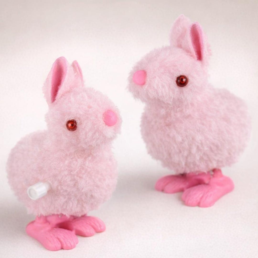 Pink Wind up Hopping Easter Bunny Egg Toy Two Pack - Etsy