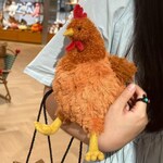 Chicken Toys