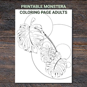 Monstera coloring - Etsy Schweiz