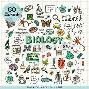 Puede incluir: Ilustración colorida con la palabra "BIOLOGY" en letras verdes grandes, rodeada de 80 elementos dibujados a mano. Incluye un microscopio, una mariposa, células, una rana, un corazón humano y el texto "The Study of Life".