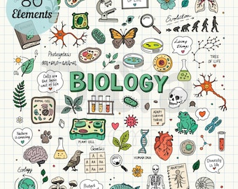 Puede incluir: Una colección de 80 ilustraciones dibujadas a mano sobre biología en un fondo cuadriculado, que incluye un microscopio, ADN, órganos humanos, células, plantas, animales y etiquetas de texto científico como BIOLOGY.