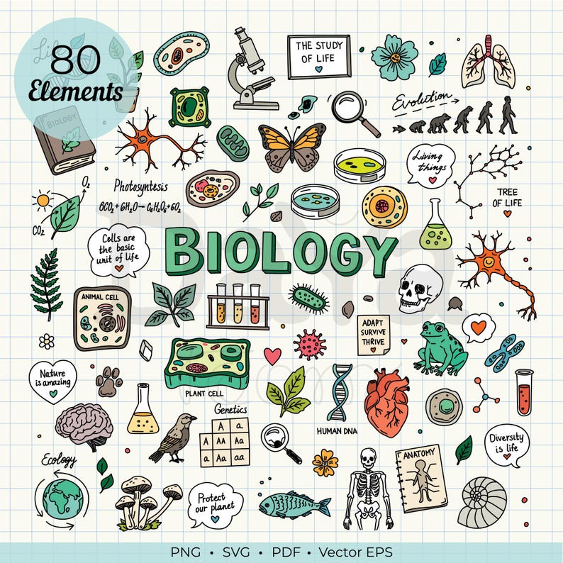 Biology Clipart Bundle PNG SVG, Hand Drawn Biology Doodles, Science ...