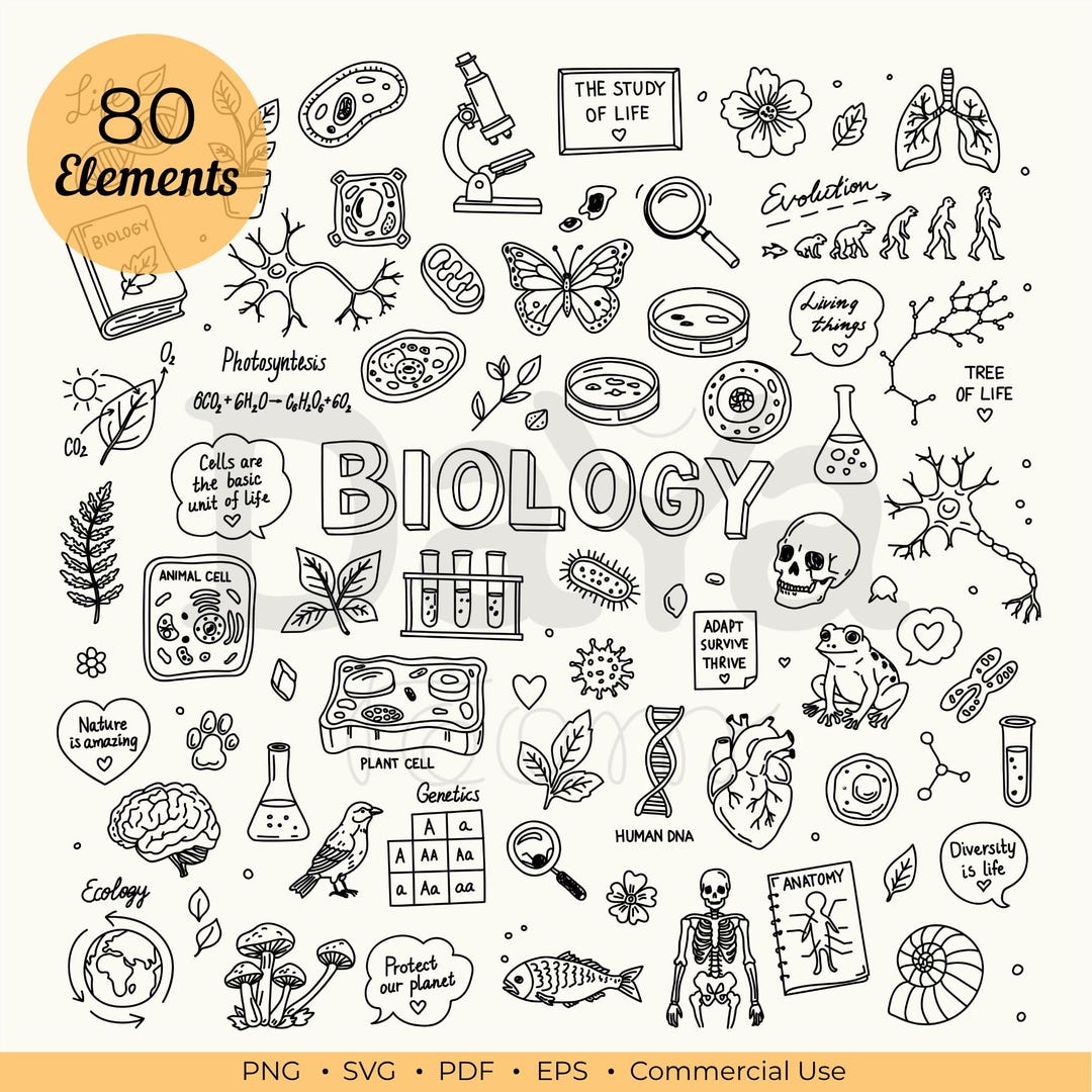 Biology Doodle Clipart Bundle PNG SVG, Hand Drawn Science Line Art ...