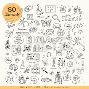 May include: A collection of 80 black and white hand-drawn biology-themed illustrations including a microscope, DNA strand, human heart, skull, skeleton, frog, plant and animal cells, leaves, mushrooms, and the text BIOLOGY in the center.
