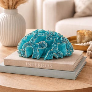 Könnte beinhalten: Eine türkisfarbene Korallen-Skulptur liegt auf zwei Büchern auf einem Holztisch. Das obere Buch ist beige und trägt das Wort "INTERIORS". Im Hintergrund befindet sich eine weiße Vase mit getrocknetem Pampasgras.