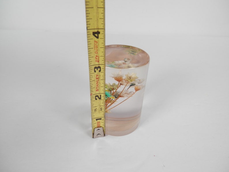 May include: A clear glass cylinder with a bouquet of dried white flowers and green leaves inside. The cylinder is approximately 3 inches tall.