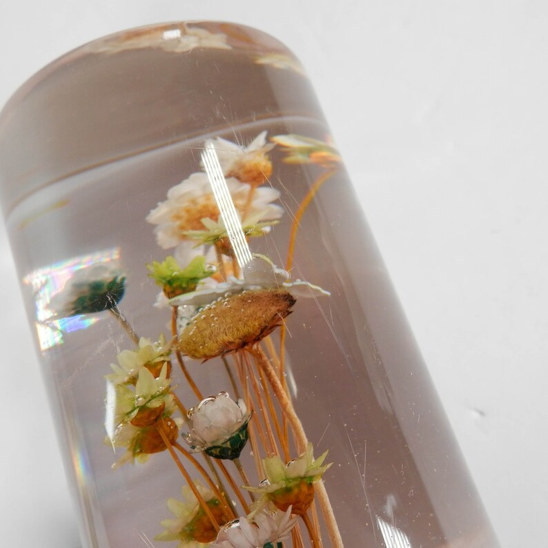 May include: A clear glass cylinder filled with dried flowers. The flowers are white, brown, and green. The cylinder is on a white background.