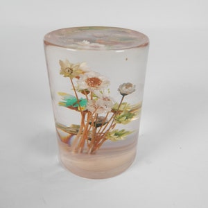 May include: A clear glass cylinder with a bouquet of dried white flowers inside. The flowers are arranged in a cluster and have brown stems.