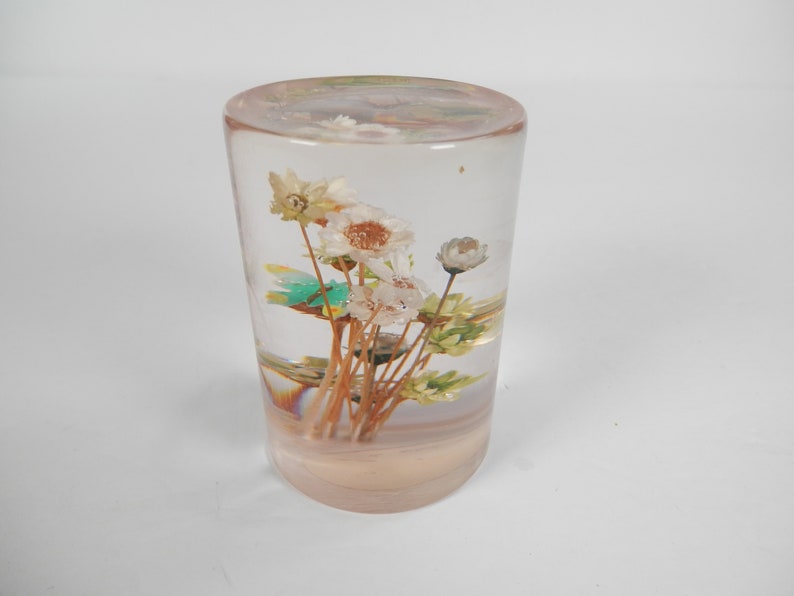 May include: A clear glass cylinder with a bouquet of dried white flowers inside. The flowers are arranged in a cluster and have brown stems.