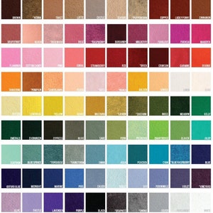 May include: A color chart with 100 different shades of felt. The colors are arranged in rows and columns, with each color labeled with a name. The colors range from brown to white, with many shades of red, green, blue, and yellow.