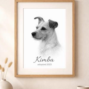 Könnte beinhalten: Schwarz-weiß gerahmtes Porträt eines Hundes namens Kimba. Der Hund, ein Terrier-Mix, ist im Profil dargestellt. Unter dem Bild stehen der Name "Kimba" und der Text "adopted 2023".
