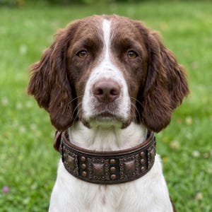 Wide Western Leather Dog Collar, Rustic Square Accent Pet Neckwear